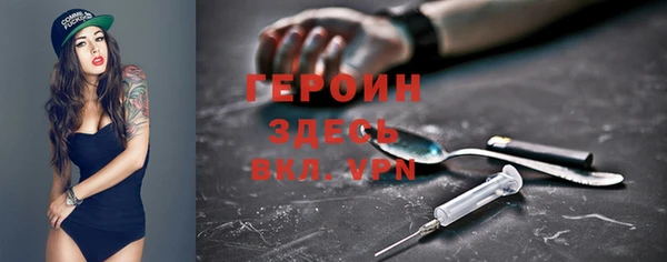 сатива Елизово