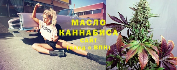 сатива Елизово