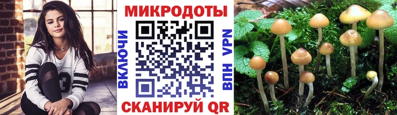 Галлюциногенные грибы Magic Shrooms  сайты даркнета официальный сайт  Кашира 