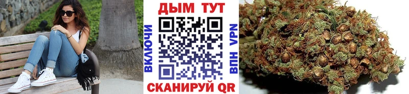 Марихуана конопля  купить  цена  Кашира 